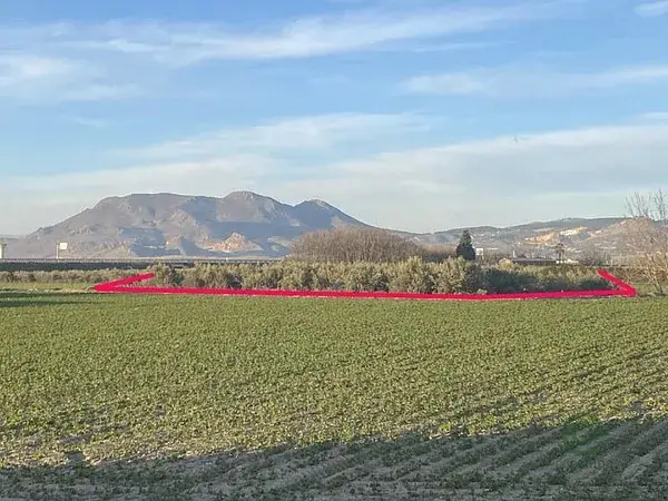 Finca con Olivos y Vistas a Sierra Nevada en Belicena