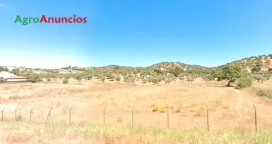 Venta  de Finca urbana sin edificar en Huelva