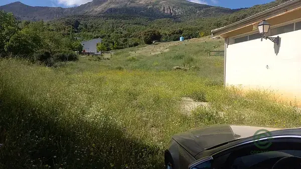 Finca Rustica en Jaen con Piscina y Naves - Ideal Turismo Rural