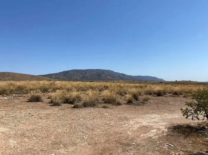 Villa en venta Pinoso 3 dormitorios 2 baños nueva construccion