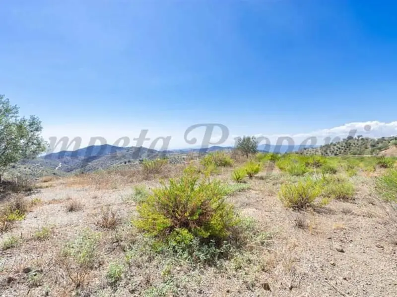 Terreno en Venta Canillas de Albaida Malaga
