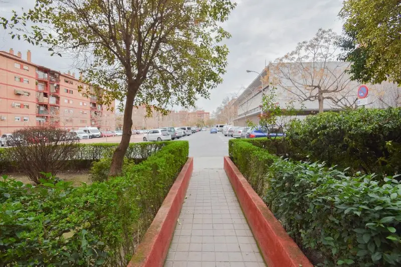 Venta Local Comercial Lujoso Alcampo Norte Granada