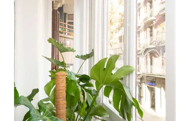 Alquiler Habitacion Barcelona Gracia 277m2 Piso Reformado