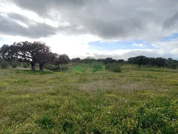 Finca Rústica 64ha en Badajoz - Ideal Ganadería