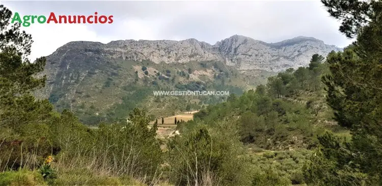 Venta  de Finca de recreo en Alicante