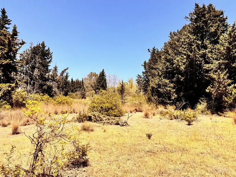 Terreno en Venta Estepona Desarrollo Hotel de Lujo