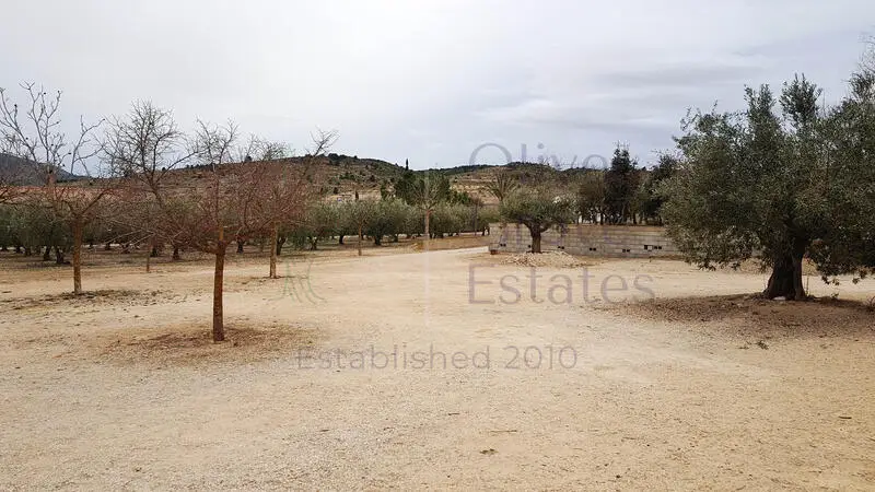 Villa de Lujo 4 Dormitorios Caudete Almacén 397m2