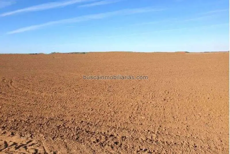 Finca de Secano en Badajoz 314 ha para Inversores