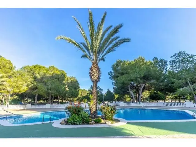 Apartamento 2 Dormitorios 1 Baño Campoamor Orihuela Costa