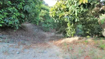 Finca Rustica en Venta en Puntalon 35000m2 3 Dormitorios