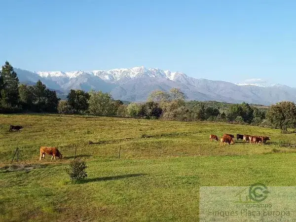 Finca Ganadera 500 Hectareas La Vera Dehesa Pantano Regadio