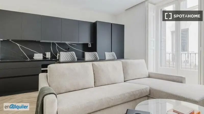 Apartamento 1 Dormitorio Madrid Alquiler Amueblado