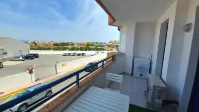 Apartamento en Alquiler Torrevieja - Amueblado con Piscina y Pistas Deportivas