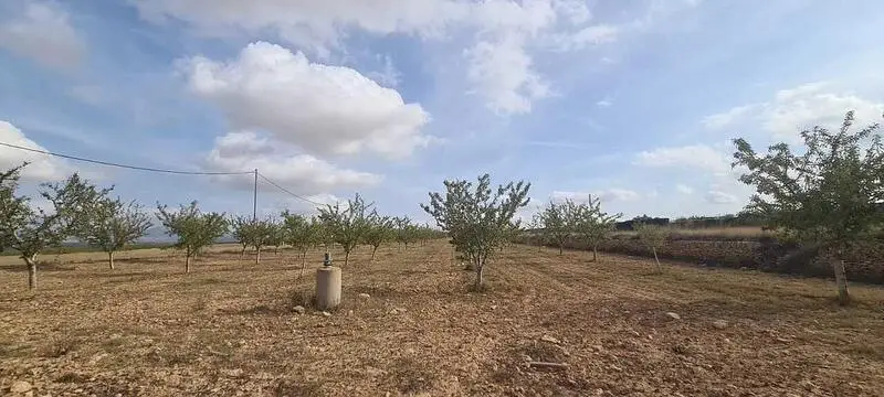 Terreno en Venta Yecla Murcia
