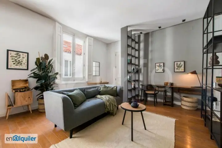 Alquiler Piso Amueblado Centro Madrid 90m2 1 Dormitorio