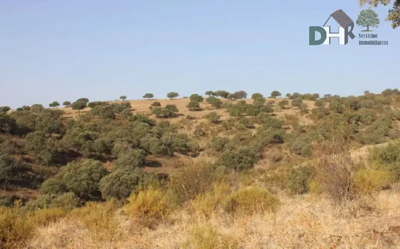 Venta Finca Rustica 328 Hectareas Caceres Caza Ganaderia