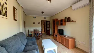 Piso en Alquiler Calle Julio Burell cerca Menendez Pelayo