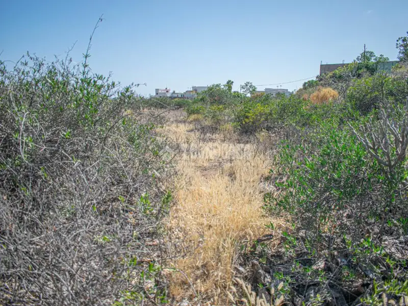 Terreno Rustico en Venta Valle San Lorenzo 2880m2
