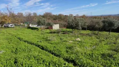 Casa Rustica en Venta Malpartida Plasencia