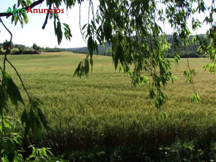 Venta  de Terreno de secano en Ciudad Real