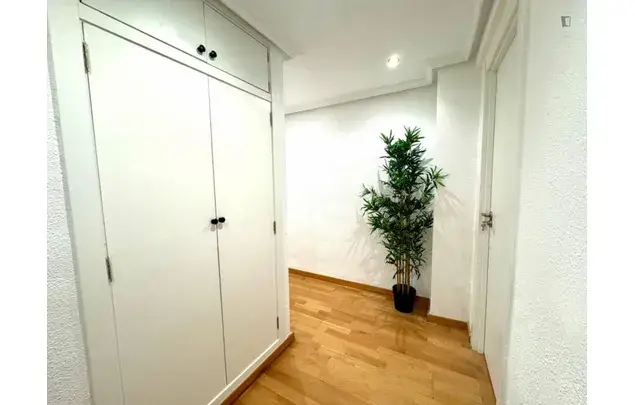 Rent 5 bedroom apartment in Alicante