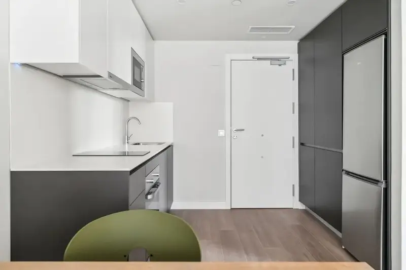 Apartamento 1 Dormitorio Madrid Alquiler