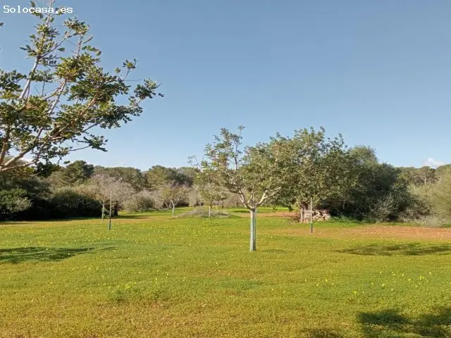 Terreno Rustico en Venta Porreres Baleares