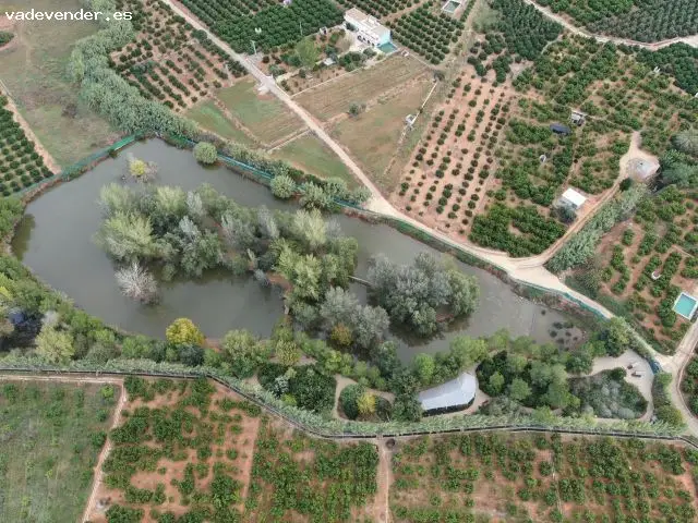 Finca Rustica 11 Hectareas Dos Viviendas Explotacion Agricola y Avicola