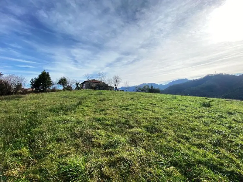 Venta Casa Jardin Ribadesella 165m2 20000m2 Terreno Edificable