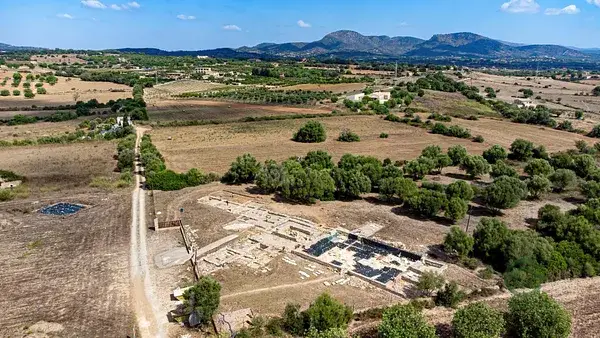 10 Hectareas Rusticas cerca Manacor y Playa