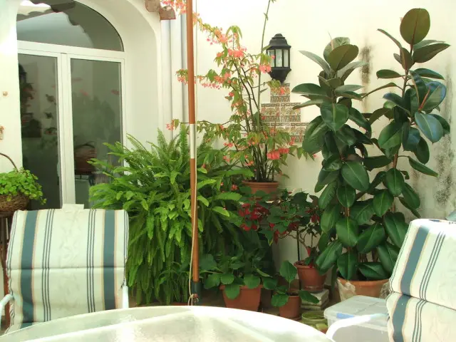 Habitacion Alquiler Oliva Valencia Cerca Playa