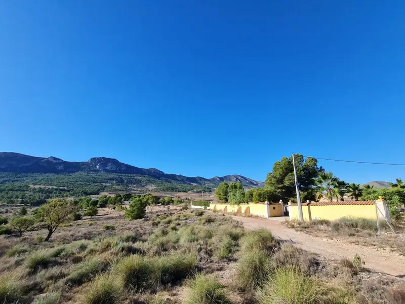 Terreno en Venta Campo Mediterráneo Español