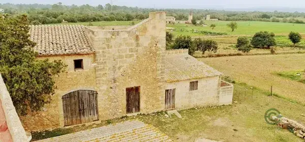 Finca Rustica Palma Mallorca 1424ha 10 Dormitorios Piscina