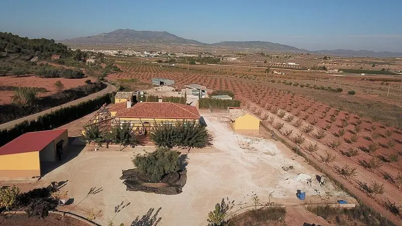Villa Lujo 3 Dormitorios Pinoso Alicante