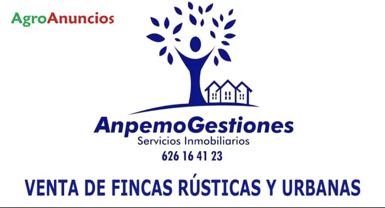 Venta  de Finca de almendros riego automatizado en Córdoba