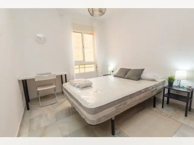 Habitacion Alquiler Malaga Apartamento Compartido Estudiantes Profesionales