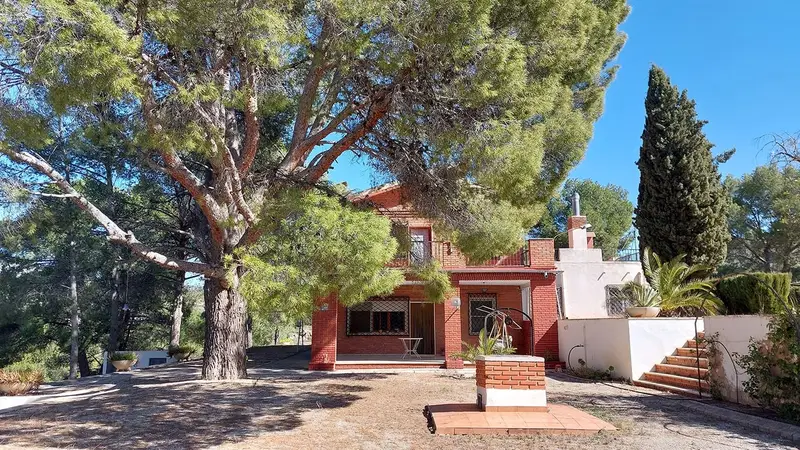 Finca Rustica en Venta Petrer 13 Hectareas