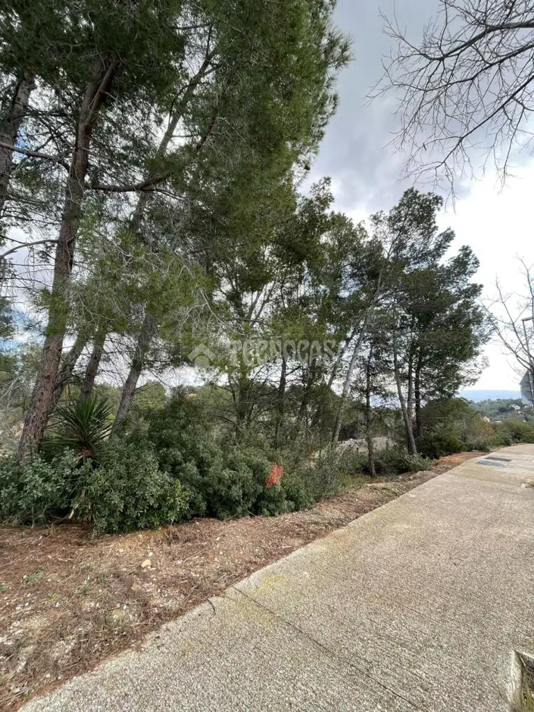 Terreno en venta en Rubi zona Sant Mux