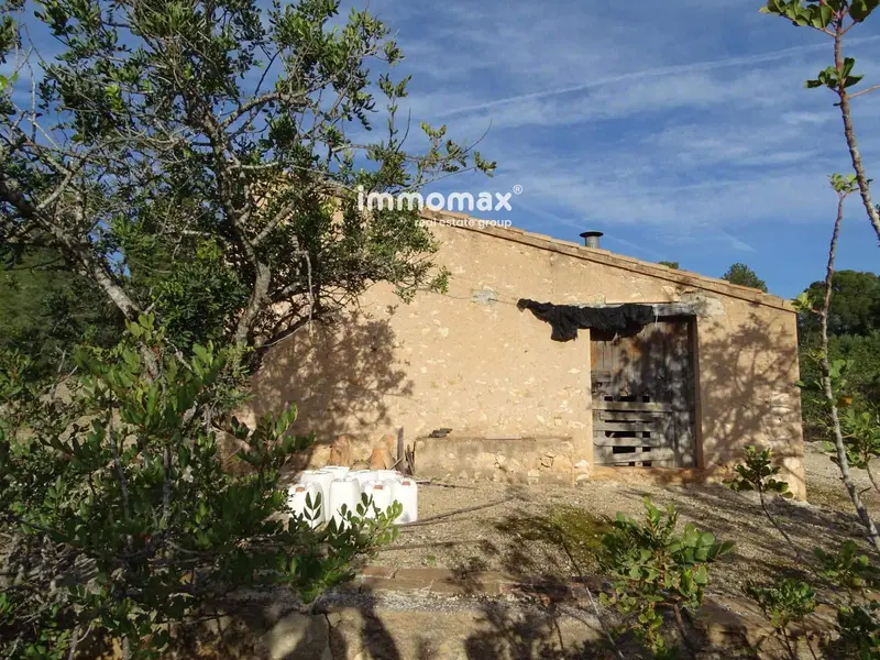 Finca Rustica en Venta Xerta Tarragona 35403m2