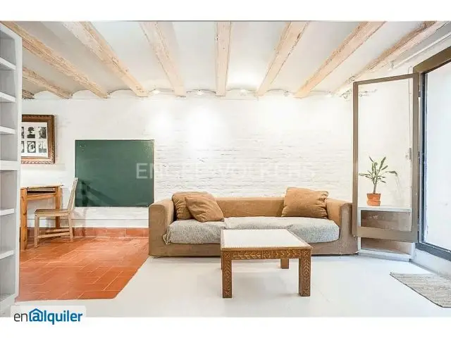 Alquiler Piso Amueblado Terraza Ciutat Vella Barcelona