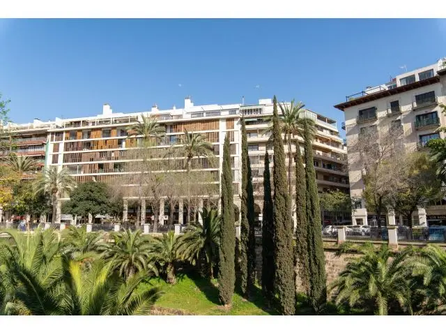 Local Comercial en Palma Centro Alta Rentabilidad
