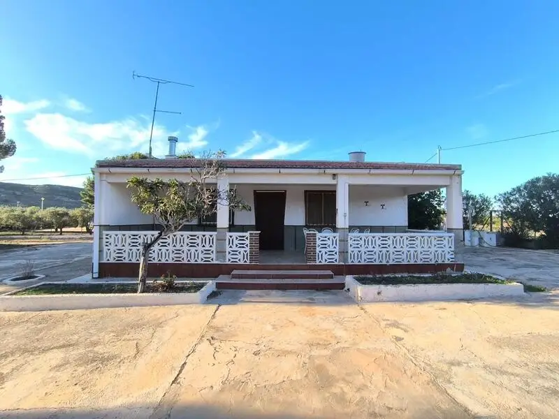 Villa en Venta Yecla 3 Dormitorios Piscina Jardin Olivar