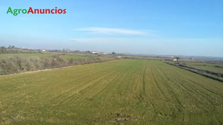 Venta  de Finca de regadío en Lleida