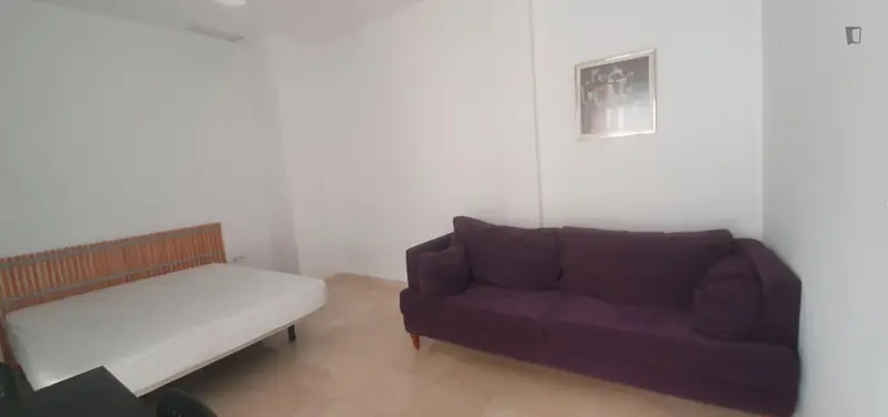 Estudio Amueblado Sevilla Casco Antiguo