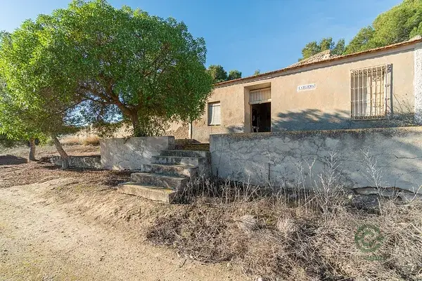 Finca Rustica 118ha Pilar de la Horadada Vivienda Centenaria