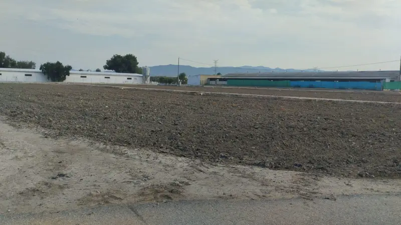 Venta Terreno Lebor Totana 6781m2