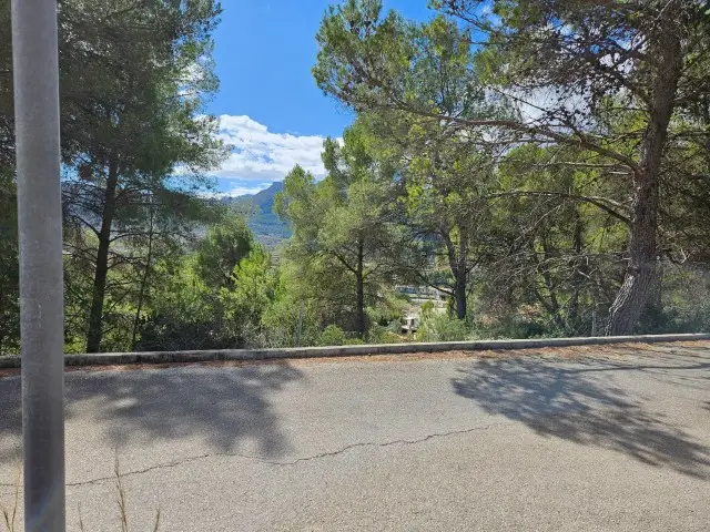 Terreno en Venta Alcalali 2265m2 Ideal Viviendas