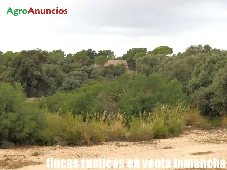 Venta  de Finca con viviendas y bodega en Albacete