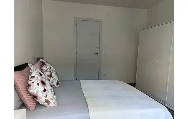 Rent 1 bedroom apartment in Madrid