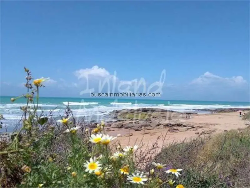 Parcela en Venta El Palmar Vejer de la Frontera